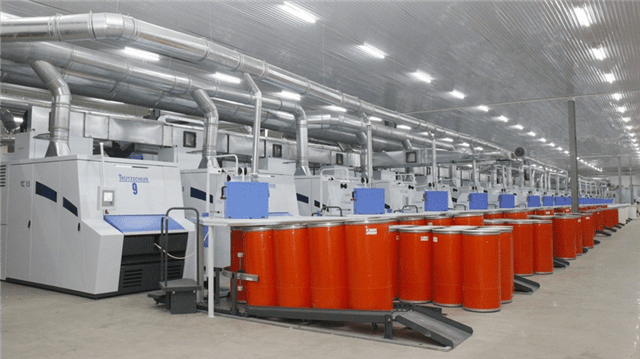 Sơ đồ tổ chức